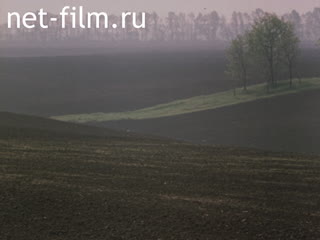 Фильм № 3 Трудное поле[Всего дороже.]. (1981)