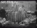 Footage The production of charcoal in England. (1910 - 1919)