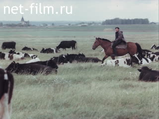 Film The land is grass and we. (1986)