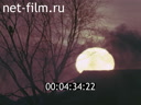 Фильм Народный художник - Федот Сычков. (1970)