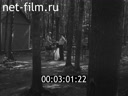 Фильм Человек в лесу. (1967)