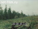 Фильм Судьба лесных поселков.. (1984)