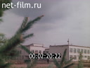 Фильм Лесные поселки.. (1984)