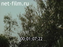 Фильм Лесные поселки.. (1984)