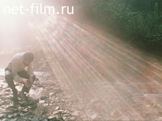 Film The Path.. (1988)