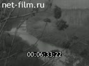 Footage Природа Урала. (1975 - 1980)