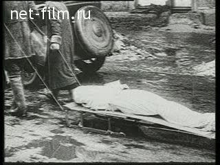 Footage Great Patriotic War. (1941 - 1943)