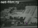 News Foreign newsreels 1972 № 3074 Different subjects
