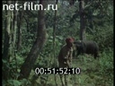 Фильм Черная гора. (1970)
