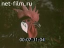 Newsreel Want to know everything 1980 № 131