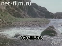 Фильм Природа Урала. (1983)