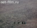 Фильм Кормовой конвейер. (1978)