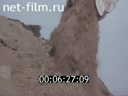 Film Sacred Baikal. (1980)