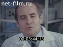 Фильм Соловьиная роща. (1983)