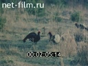 Newsreel Ural Mountains' Video Chronicle 2002 № 4 "People on the river"
