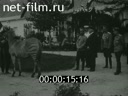 Footage Nicholas II's trip to the south of Russia. (1912 - 1913)