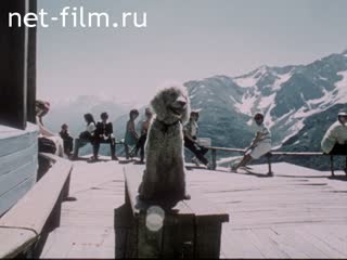 Film Mountain name.. (1990)