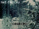 Newsreel Great Ural Mountains 1994 № 2 Seasons: footprints in the snow