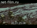 Фильм Шуми, водопад!. (1977)