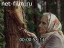 Фильм Добро пожаловать в лес. (1982)