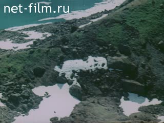 Film Nature Urals. (1967)