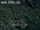 Footage Earthquake in Georgia (Sachkhere). (1991)