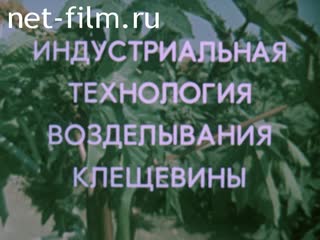 Film Industrial technology of cultivation of castor beans. (1985)