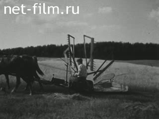 Сюжеты В литовской деревне. (1940)