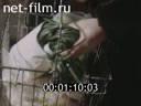 Film Vegetables in the diet. (1989)