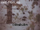 Film Stories about Siberia. Taiga. (1981)