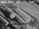 Фильм Техника безопасности при производстве древесного угля. (1976)