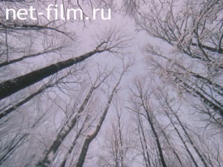 Фильм Взрывогенераторы.. (1989)