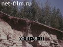 Film In alliance with nature.. (1984)