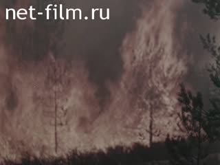 Фильм Лесные пожары. (1964)