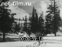 Фильм Московский стадион "Динамо". (1949)