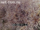 Фильм Сибирский бальзам. (1968)