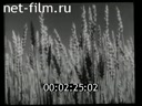 Footage Tuva Autonomous Region. (1949 - 1950)