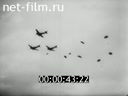 Киножурнал Дойче Вохеншау 1943 № 673