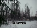 Фильм Жаркая зима в Усть-Илимске. (1980)