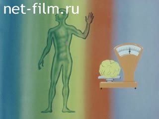 Фильм Строение и функции лимфатической системы. (1981)