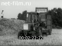 Film Subsistence farming forestry. (1986)
