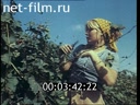 Фильм Путешествие в страну виноделия. (1983)