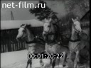Film At Winter Hunt.. (1964)