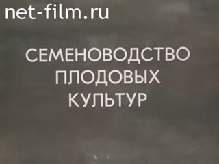 Фильм Семеноводство плодовых культур. (1980)