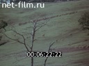 Film Walking Yerofei Habarova. (1983)
