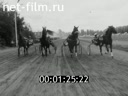 Киножурнал Татарстан 2000 № 25