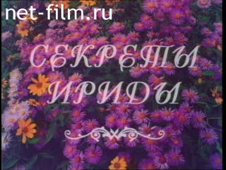 Фильм Секреты Ириды.. (1999)
