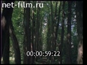 Фильм Репин рисует Толстого. (1978)