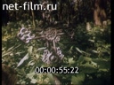 Film The Church at the Smolensk cemetery. (1992)