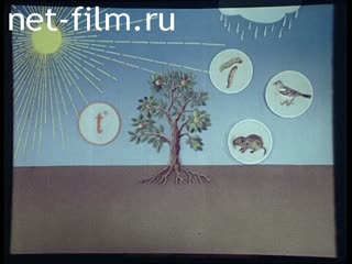 Фильм Природные сообщества. (1986)